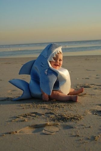 Shark Week Baby